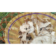 Grade B Dried White Porcini Mushroom with Best Price